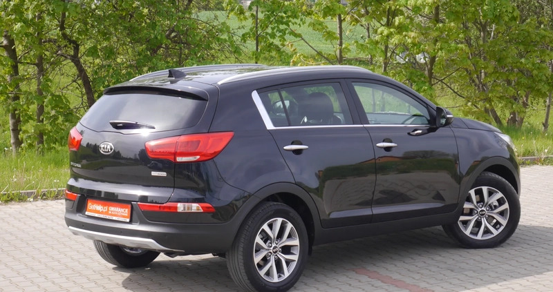 Kia Sportage cena 48900 przebieg: 117000, rok produkcji 2015 z Starachowice małe 781